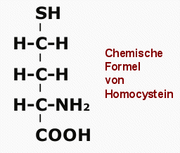 Chemische Formel von Homocystein, einer schwefelhaltigen Aminosure