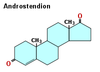 Chemische Formel des Androstendions