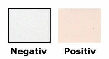 Färbung des Nitrit-Teststreifenfeldes bei negativem und positivem Befund