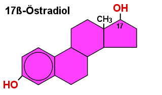 Auch Östradiol gehört zu den sog. Steroidhormonen, es hat aber keine Ketogruppe, sondern 2 OH-Gruppen.