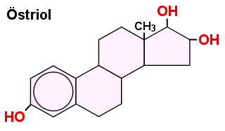 Das Östriol hat seinen Namen von den 3 OH-Gruppen, die es besitzt.