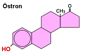 Chemische Formel des Östrons: es besitzt eine OH- und eine Keto-Gruppe (=0).