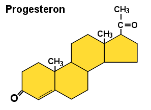 Wie die anderen Steroidhormone besteht auch das Progesteron aus 4 Kohlenstoffringen.