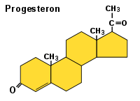 Progesteron ist ein typisches Steroidhormon und besteht aus 4 Kohlenstoffringen