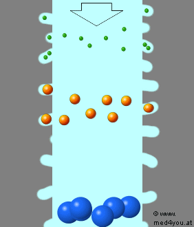 Schema des Molekül-Sieb Effekts