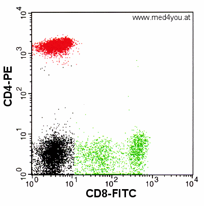 CD8_CD4_opt.gif (22028 Byte)