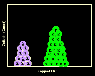 Kappa-FITC-gefärbte B-Zellen in der Histogrammdarstellung