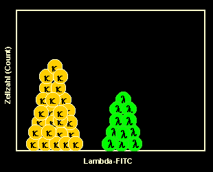 Lambda-FITC-gefärbte B-Zellen in der Histogrammdarstellung