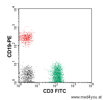 Darstellung der Fluoreszenzeigenschaften der gemessenen Zellen in einer Graphik (Dot-Plot)
