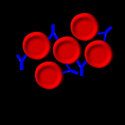 IgG-Antikörper verklumpen mit den roten Blutkörperchen